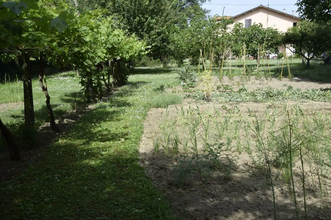 Capannone111 Bed & Breakfast Castiglione di Ravenna
